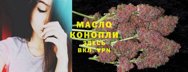 Альфа ПВП Инта
