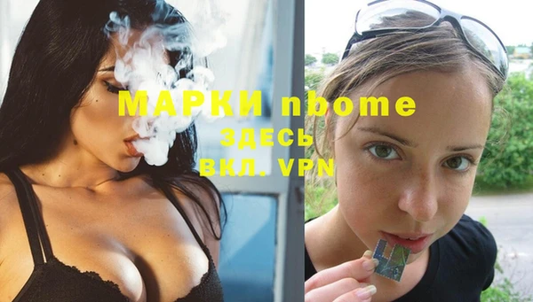 Альфа ПВП Инта