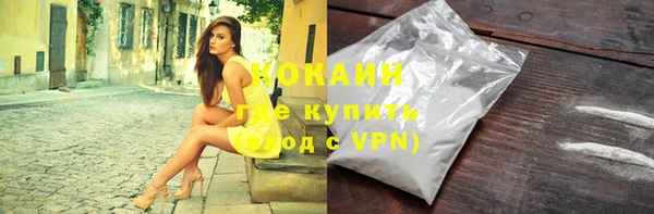 Альфа ПВП Инта