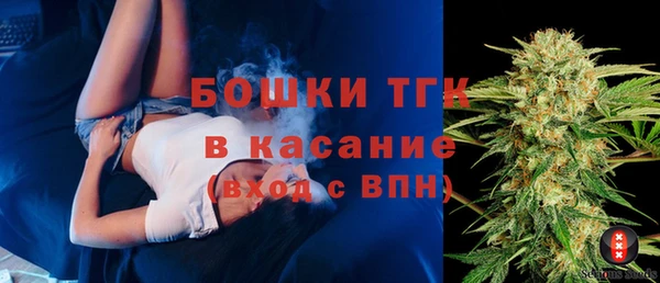 Альфа ПВП Инта