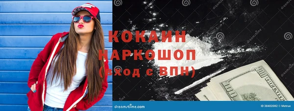 Альфа ПВП Инта